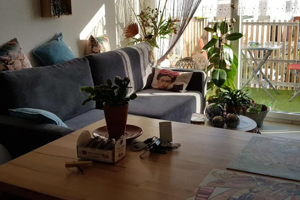 Appartement Complet Et Parking Protege ลาเตสเตอ-เดอ-บูค ภายนอก รูปภาพ